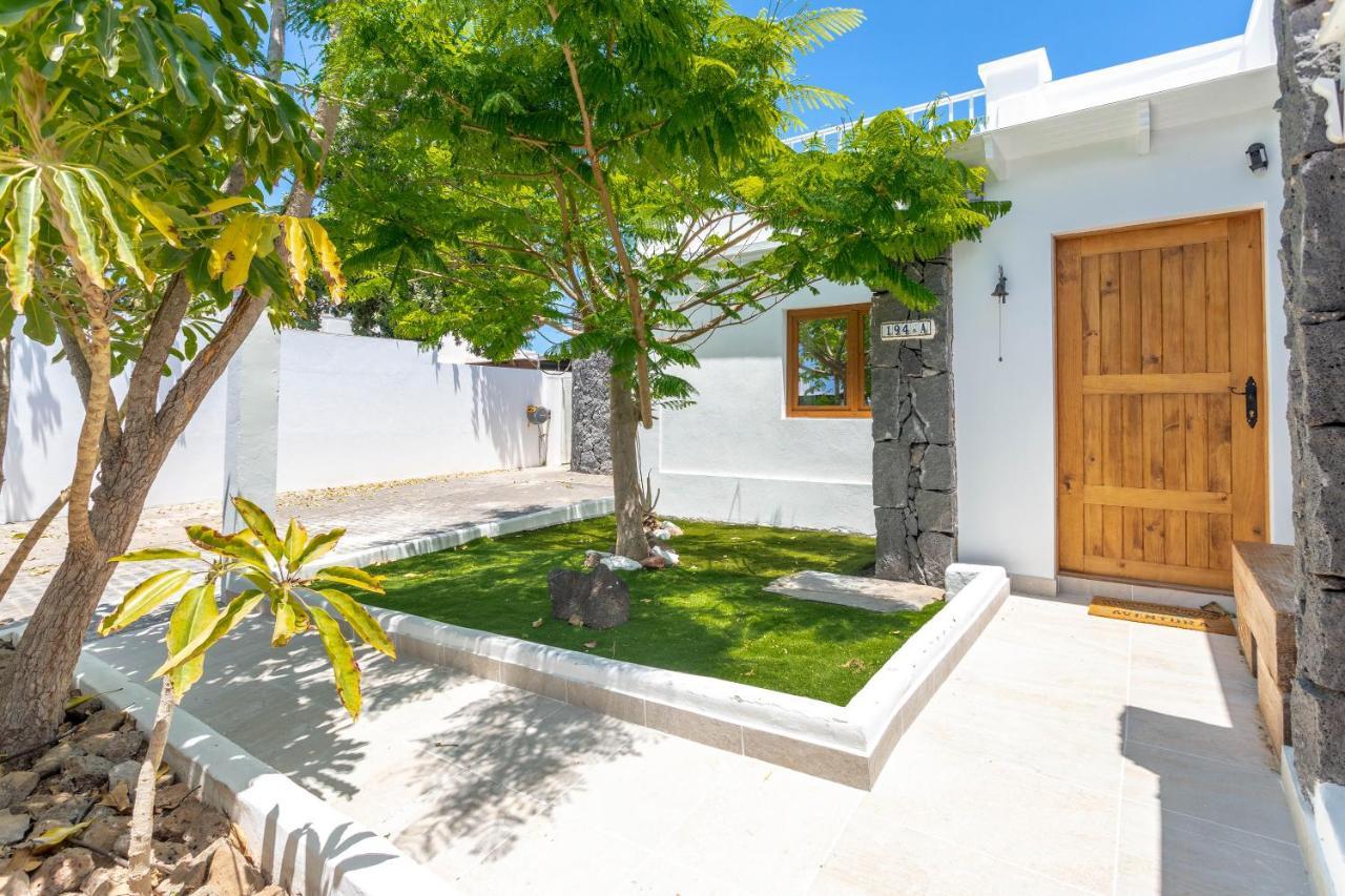 Villa Olive Tree Playa Blanca (Lanzarote)