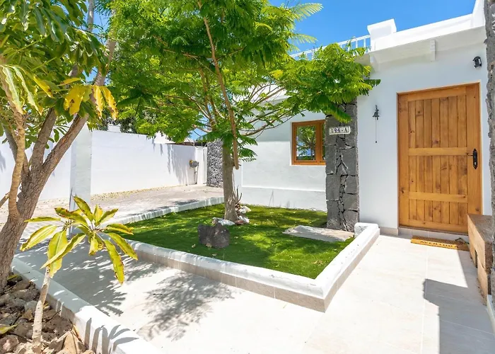 Villa Olive Tree