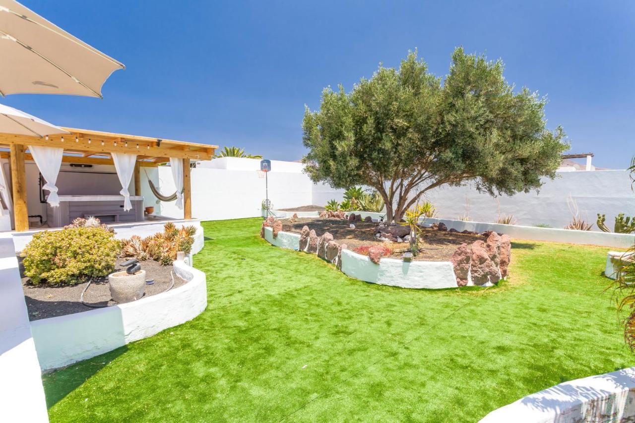 Olive Tree